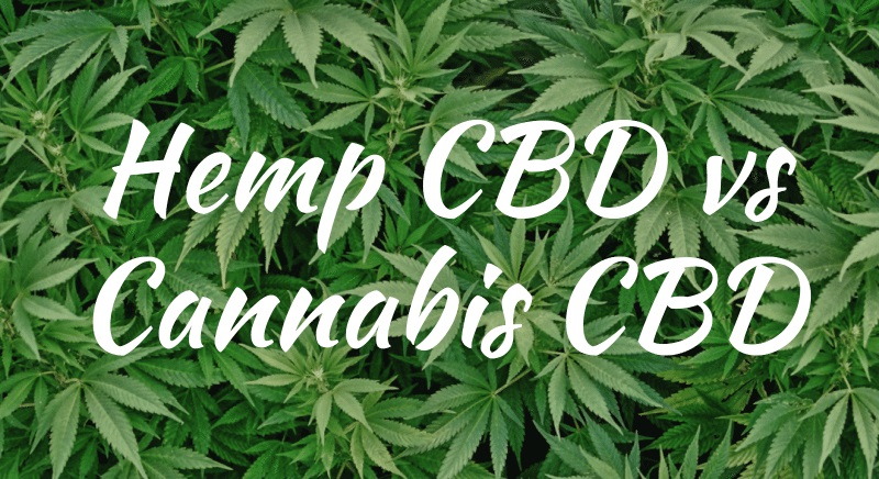 Cannabis for first-timers: Knowing the difference between hemp oil vs. CBD oil