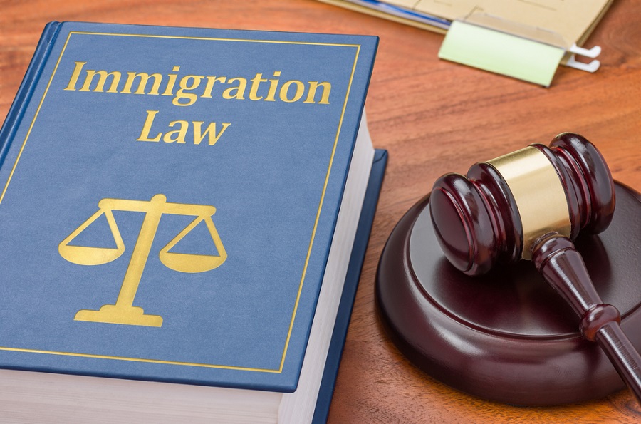 Immigration Law – About Foreigners’ Entrance into Nation