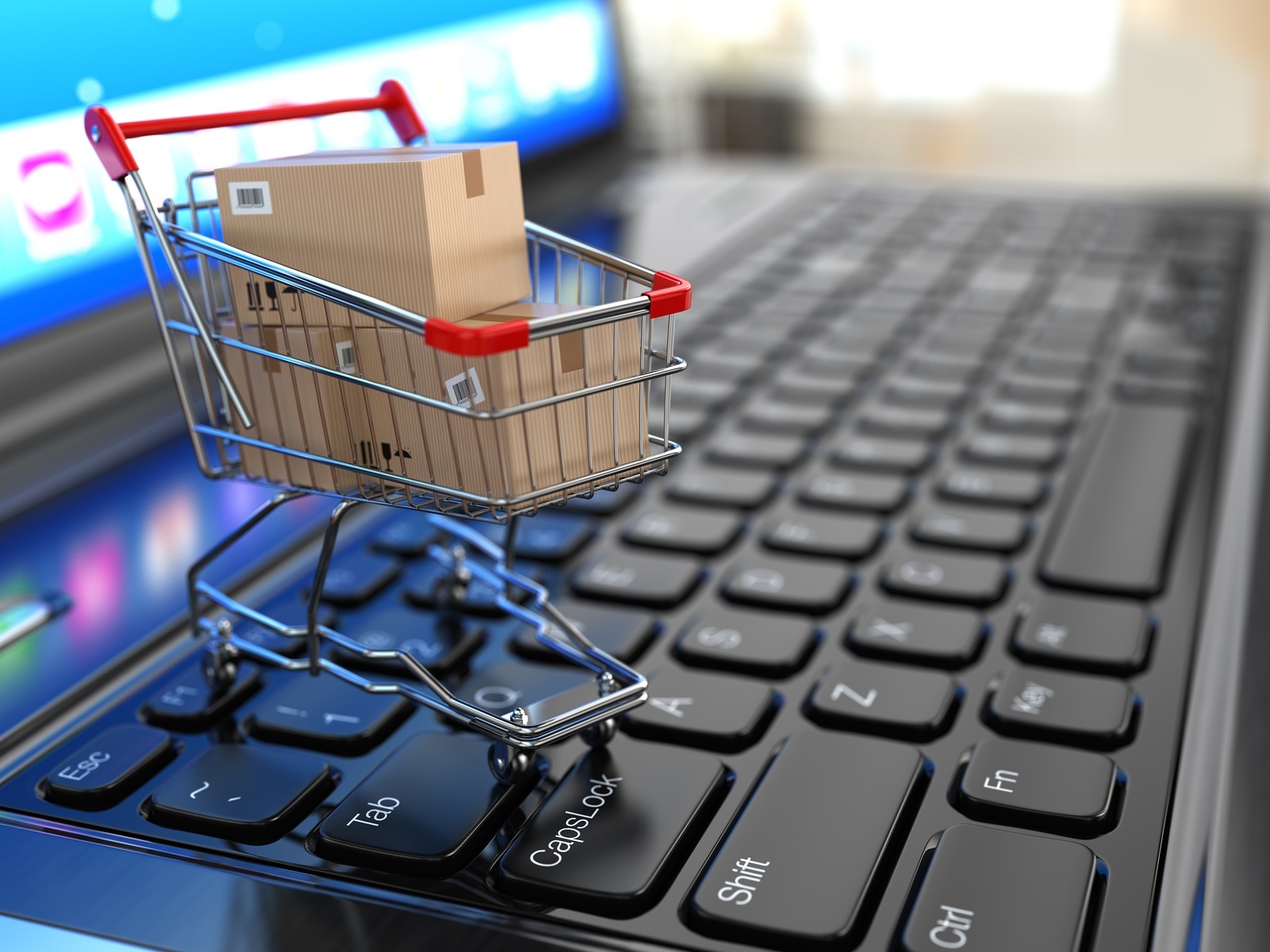E-commerce Fulfillment Providing the Requirements of The Growing Online Market